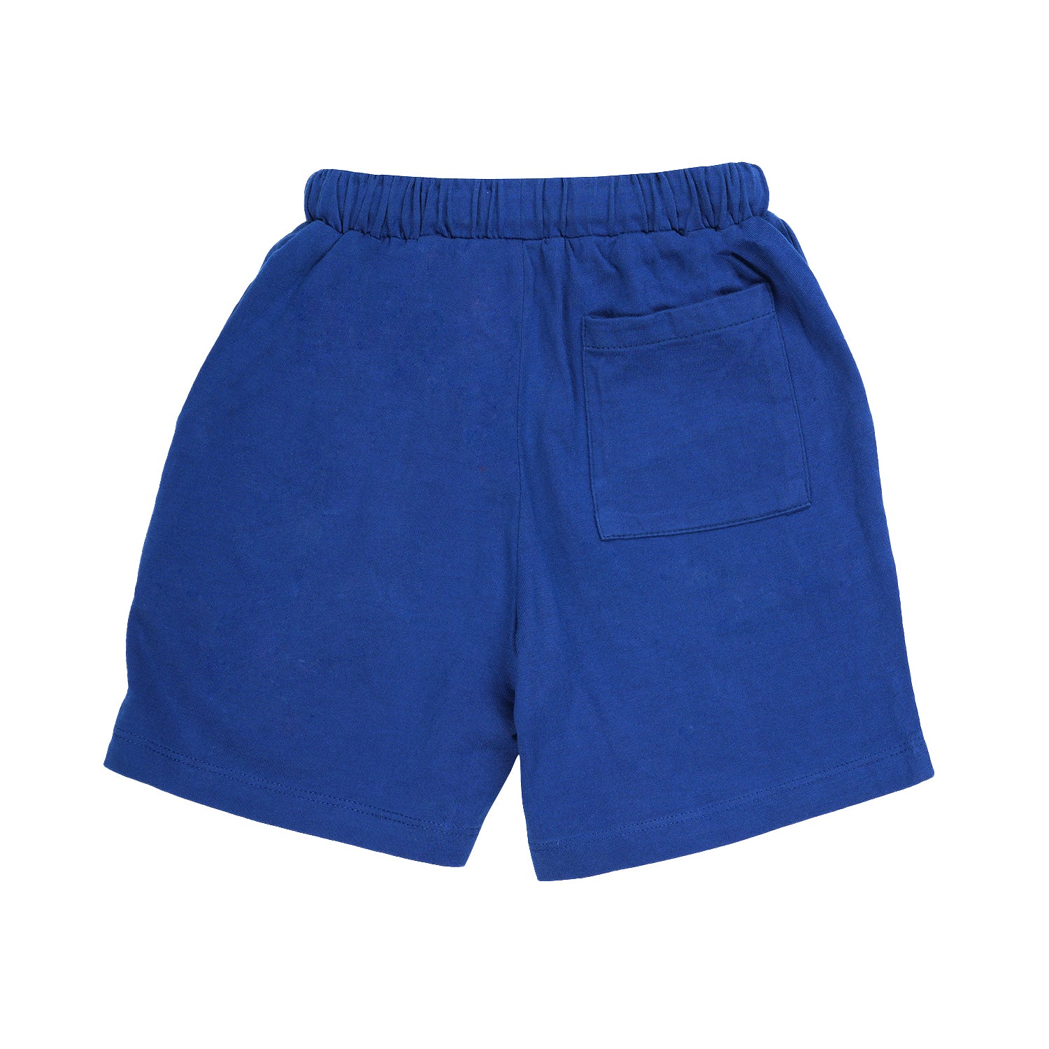 Co-real Blue Unisex Shorts